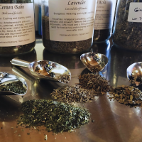 Herbalism 101 Master-Course