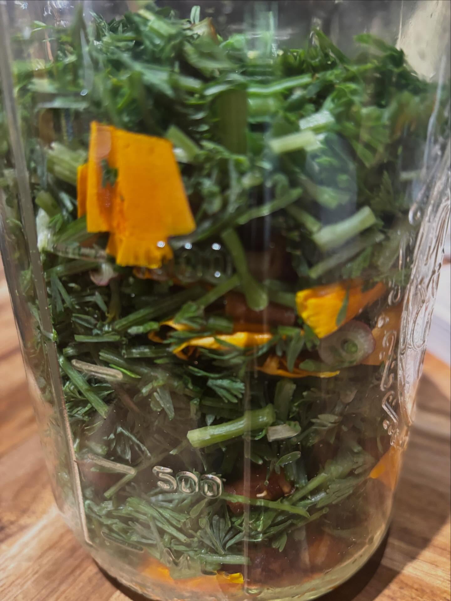 Herbalism 101 Master-Course