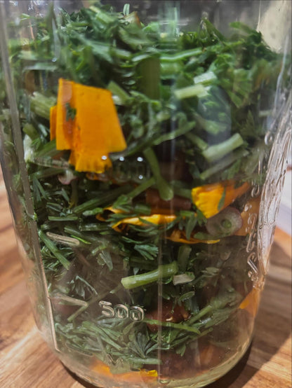 Herbalism 101 Master-Course