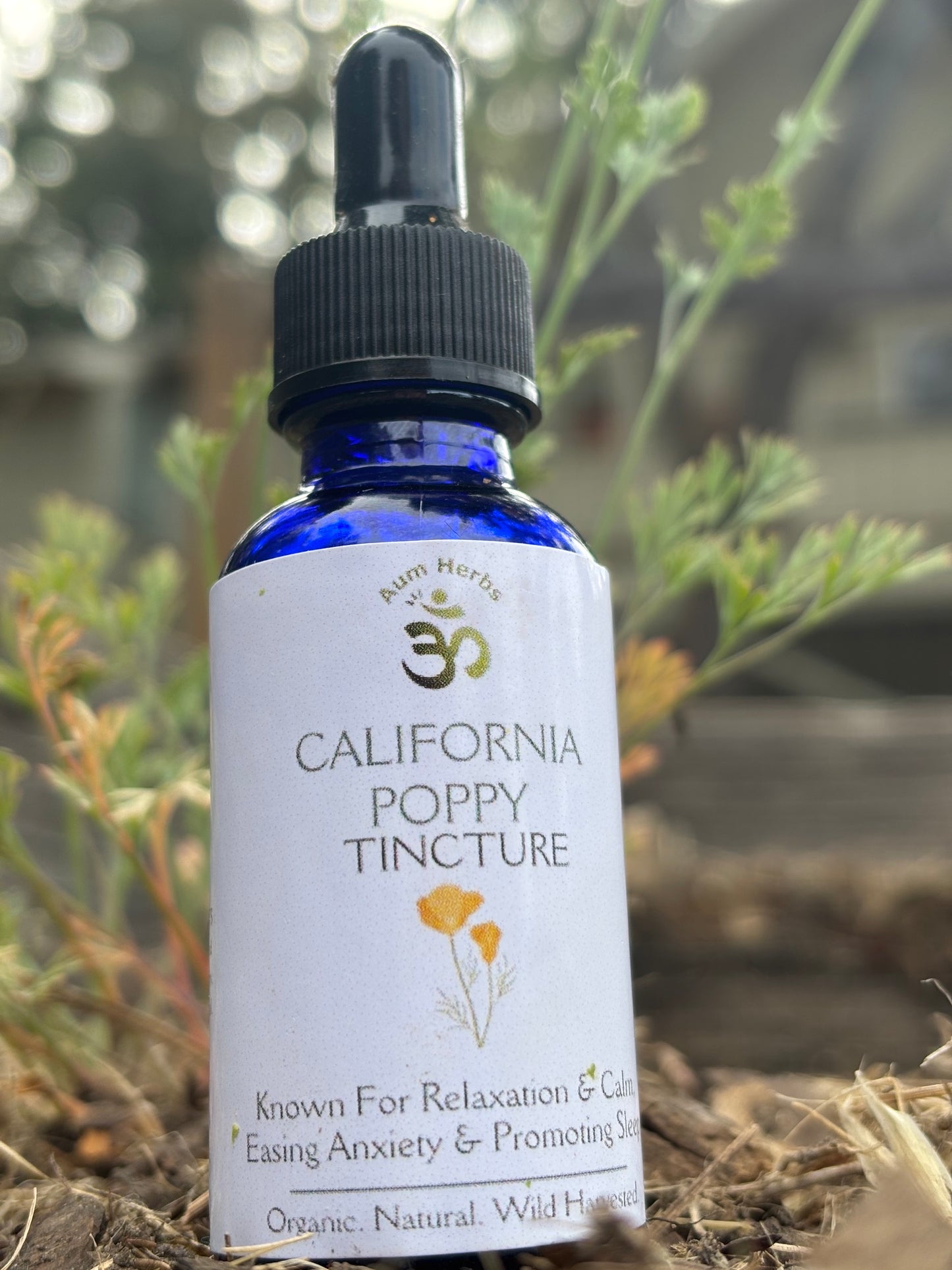 California Poppy Tincture