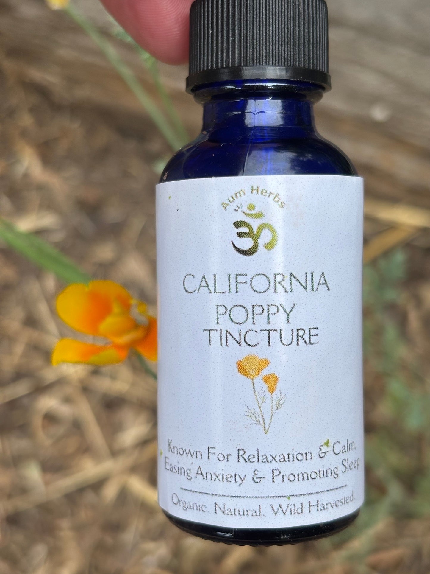 California Poppy Tincture